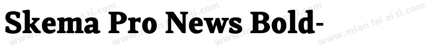 Skema Pro News Bold字体转换